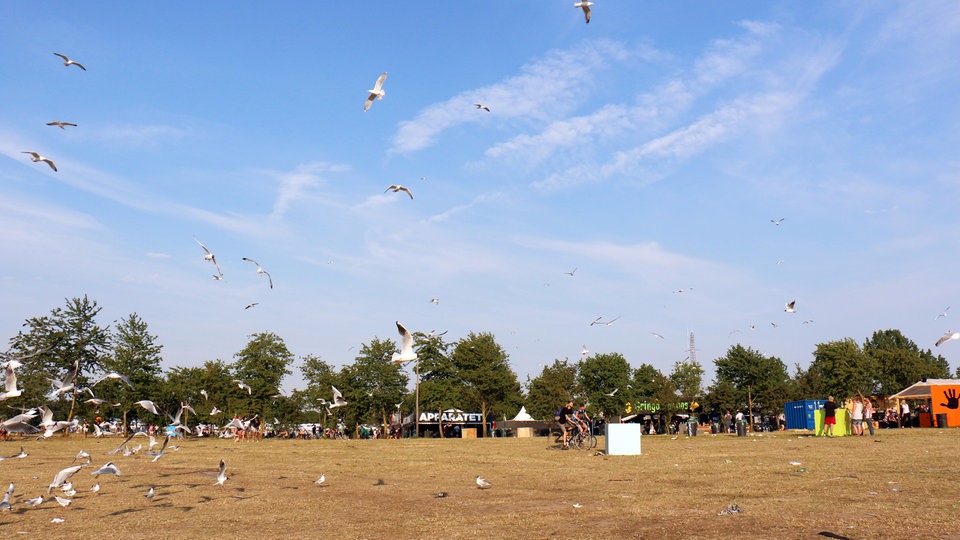 Bildrechte: WDR/Rühl Impressionen vom Roskilde Festival 2015