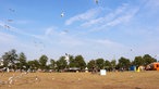 Impressionen vom Roskilde Festival 2015
