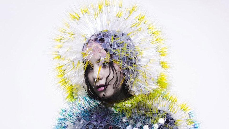 Björk - Vulnicura, Ausschnitt aus dem Cover