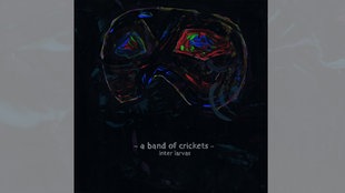A Band of Crickets: Inter Larvas