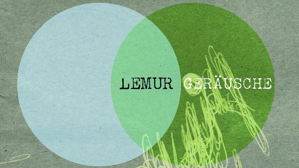 Lemur - Geräusche