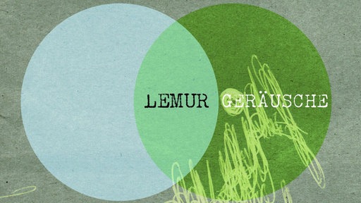 Lemur - Geräusche