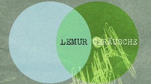 Lemur - Geräusche
