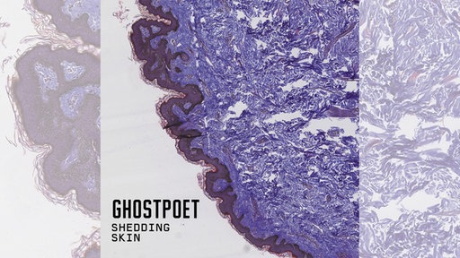 Cover des Albums "Shedding Skin" von Ghostpoet