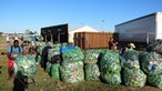 Roskilde Festival 2015 - Inside Orange Feeling