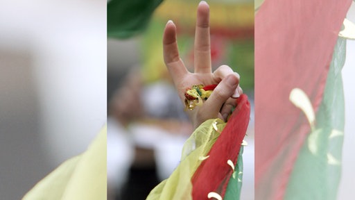 Flagge der Kurden