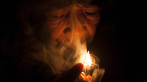 Ayahuasca y el universo amazónico