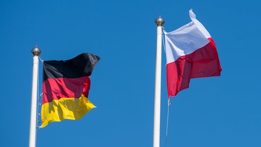 Polonia glosuje
