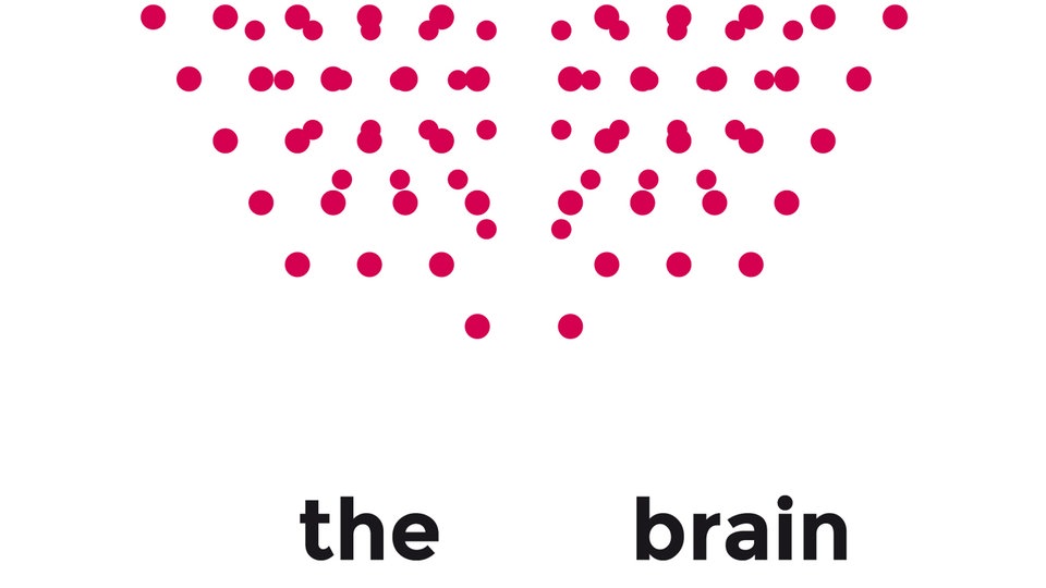 The Brain