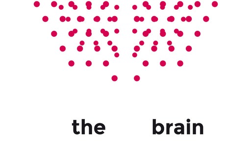 The Brain