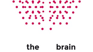 The Brain