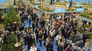 messe