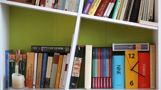 Bücherregal
