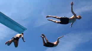 Sprichwort: Salto della quaglia