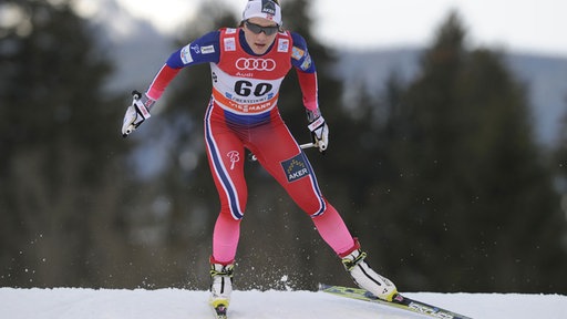 Skilanglauf