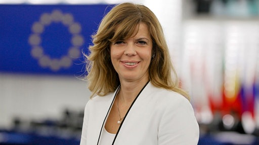 Biljana Borzan, zastupnica Evropskog parlamenta iz Hrvatske 