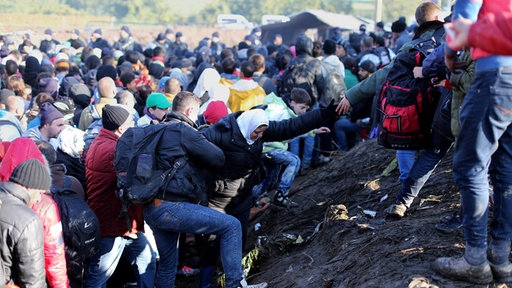 Izbeglice i migranti u mestu Berkasovo, Srbija