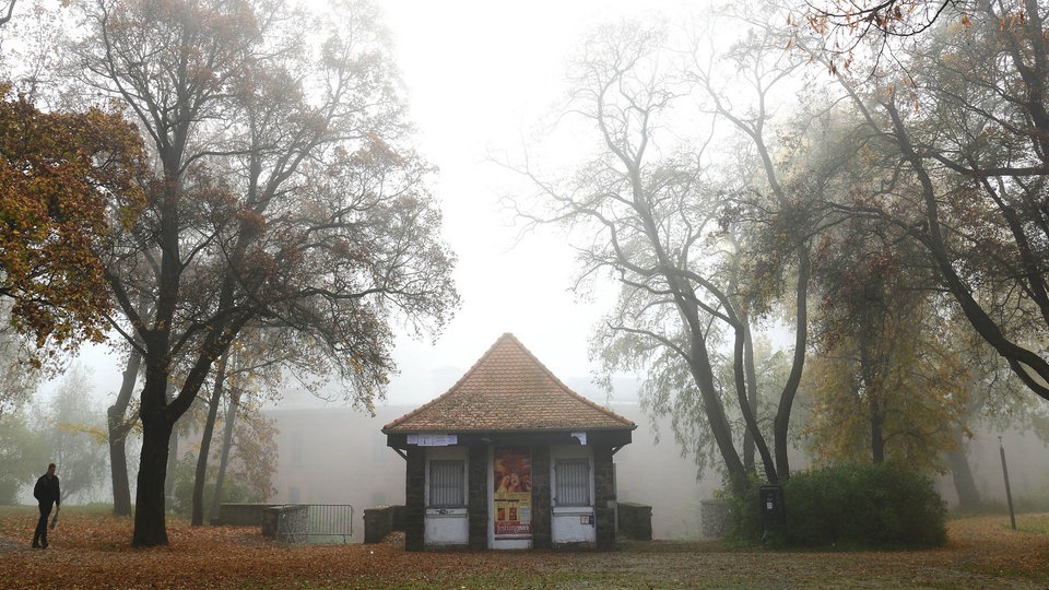 Park u blizini prihvatnog centra za izbeglice u Magdeburgu u kome je velika grupa naoružana palicama za bejzbol napala grupu Sirijaca