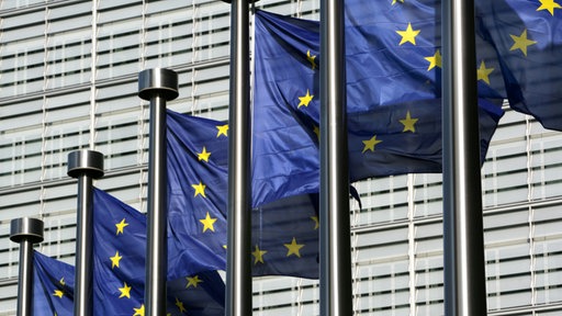 Ilustracija: EU-zastave, jedna do druge na jarbolima