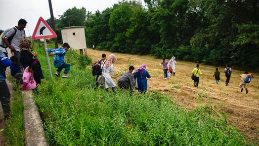 Izbeglice u Kanjiži prelaze preko livade iz Srbije na mađarsku stranu