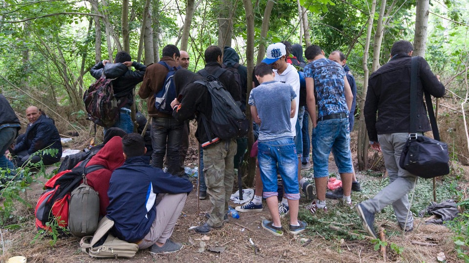 Petnaest izbeglica sa torbama i ruksacima snimljenih na madjarskoj strani