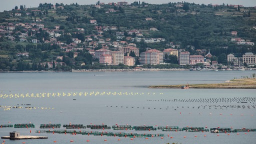 Pogled na Piranski zaljev i grad Portorož