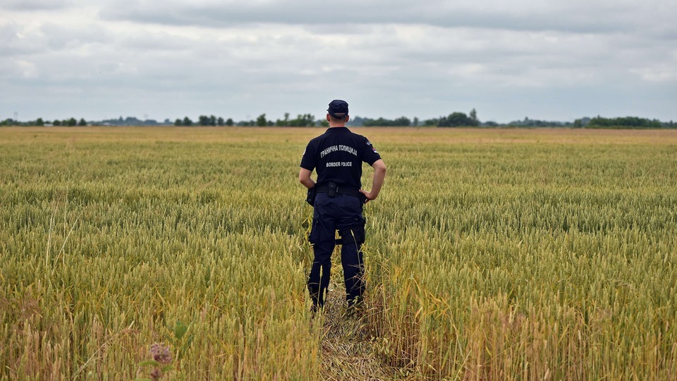 Srpski pogranični policajac na kroz žitno polje utabanoj stazi prema mađarskoj granici