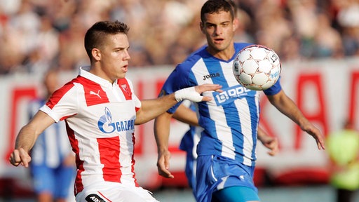 Detalj sa utakmice Crvena zvezda - OFK Beograd
