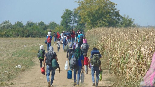 Fußmarsch der Flüchtlinge durch Serbien