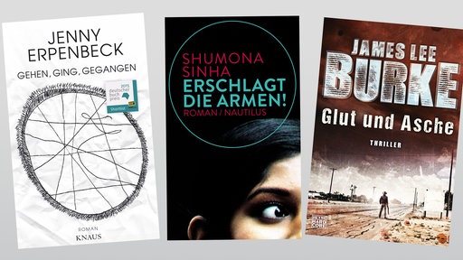 Buchcover Gehen, ging, gegegangen, Knaus Verlag, Erschlagt die Armen, Nautilus, Glut und Asche, Heyne 