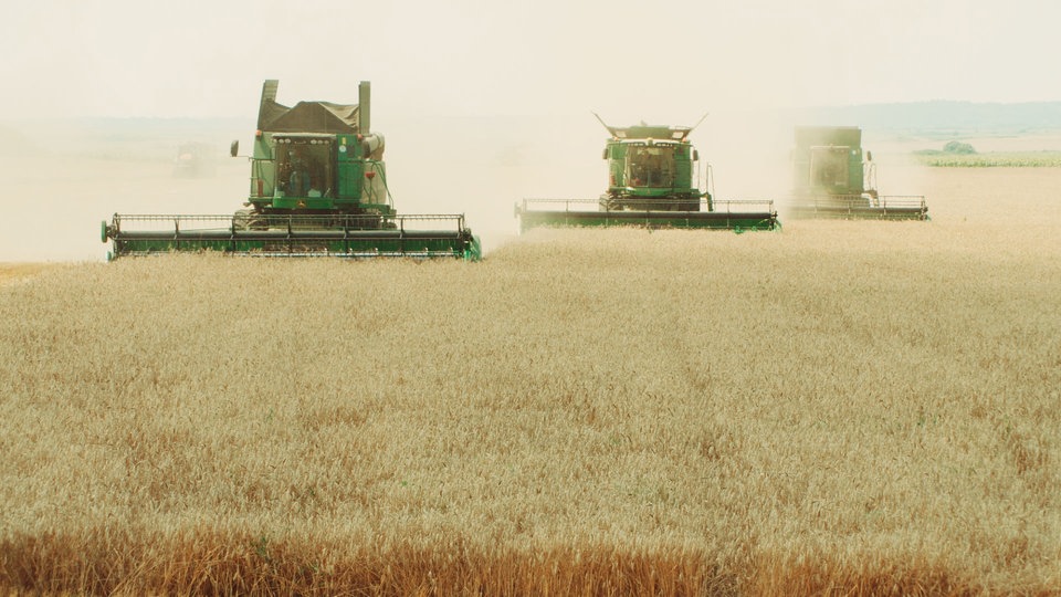 Szene aus der Dokumentation Landraub: Industriell betriebene Landwirtschaft in Rumänien