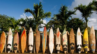 Surfbretter am Strand von Hawaii