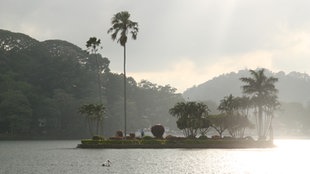 Sri Lanka 