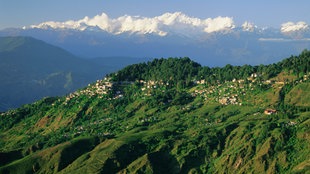 Darjeeling